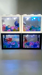 ปลากัดฮาฟมูนสีเดี่ยว อายุ 3.5 เดือน (มีรับประกันสินค้า) (มีเก็บเงินปลายทาง)