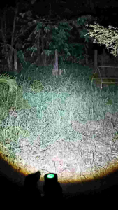 ไฟฉายคาดหัว Brilliant H11B