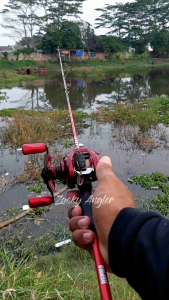 Soft Frog 3D Mutant Lure Umpan Casting Gabus