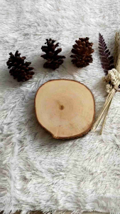 SR | SANDAL ANAK LAKI - LAKI JEPIT TALI KARET 1 TAHUN S/D 3 TAHUN - 3 WARNA