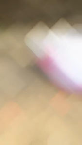 SEPATU FUTSAL SPECS LIGHTSPEED REBORN (BISA COD)