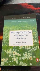 The Things You Can See Only When You Slow Down: How to Be Calm in a Busy World by Haemin Sunim