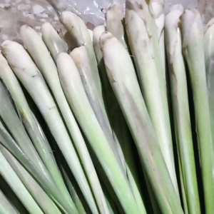sereh segar 1kg sereh serai jumbo besar