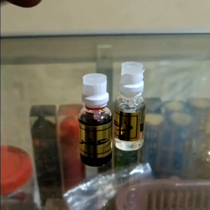 Minyak Zafaron Kental: Penggunaan Minyak Herbal Tradisional