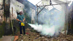 THERMAL COIL + FLAME GUN FOGGING NYAMUK DBD