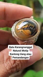 Batu Akik Karangnunggal Motif Bermotif Natural
