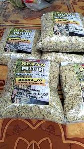 BURUANNN !!! 1 KG BENIH PADI KETAN PUTIH GRENDEL SUPER