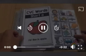 CVC Phonics 自然拼读安静书 Busy Book/ Quiet Book/ Phonics/ cvc word family/ phonic reading/English cvc phonics