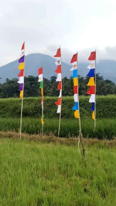 ISI 10 pcs - umbul umbul garuda warna warni - bendera berwarna-warni dengan lambang Garuda - cocok untuk dekorasi pesta musiman