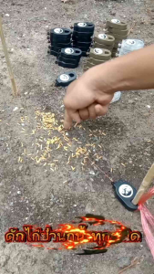 บ่วงดักไก่ป่ากวักนกอีลุ้มนกเขานกพิราบนกน้ำทุกชนิด