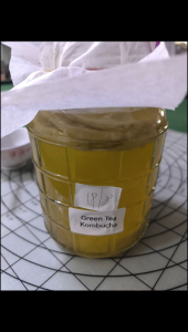 Scoby + Starter Tea 8 or 9-in-1 Kombucha Starter Kit (Upgraded DIY Pack) Freshly Brewed Kombucha 康普茶 (Original / Lemon Flavor)