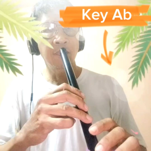 ขลุ่ยเสียงสากล คีย์ Ab รุ่น ลมพริ้ว สีดำ แถมฟรีถุงใส่ขลุ่ยมูลค่า 50.-