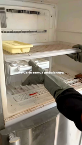 Pembersih Kulkas Efektif Anti Bakteri Stainless 250ml