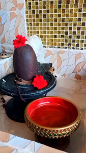 พวงมาลัย กลมดอกพุดกลมขนาดเล็กขนาดกว้าง8เซน ยาว14เซน พวงมาลัยดอกพุด พวงมาลัยดอกพุดสีชมพู - Lazada