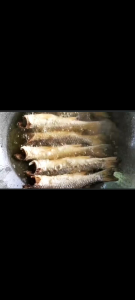 ปลาบอกร้า ปลาบอกแท้ ปลาบอกอร่อย ราคา ของแท้ ปากพนัง นครศรีฯ ชุด 1 กิโล/ครึ่งโล ราคาตามขนาด