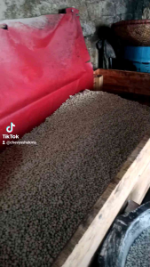 pilus kencur Tik tak cikur kemasan 3 kg gurih renyah ngeproh