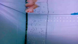HIGHBACK RED TAIL GOLDEN AROWANA/高背红尾金龙鱼(5-6inci Gred AA) NEXTDAY DELIVERY