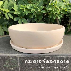 กระถางดินเผาขาว กระถางบอนไซ กระถางสวนถาด จัดสวนถาด กระถางบัวโขด กระถางปลูกบอนไซ อ่างดินเผา ขนาดกว้าง 10นิ้ว สูง 3.5" พร้อมจานรองและเจาะร
