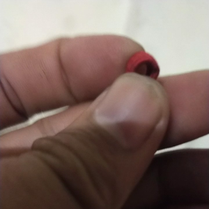 tali kaki burung kutilang emas