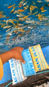 GARAM IKAN BIRU BLUE SALT 500GRAM GARAM AQUARIUM KRISTAL PREMIUM