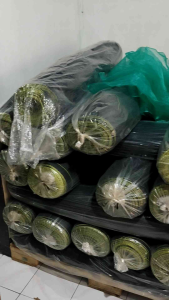 Waring Hitam/Jaring Waring/Jaring Ikan 1 Rol 100 Meter