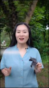 Nước gội đầu Karose Shine