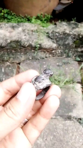 Cincin Kuno Singo Barong: Simbol Keberuntungan & Aksesoris Seni Tradisional