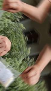 ข้าวบุก บุกก้าไรส์ ข้าวบุกหอมมะลิ (ข้าวเรียงเม็ดสวย ไม่เป็นวุ้น) - รวม 3 ถุง ปริมาณรวม 600 กรัม / “Bukka Rice” Konjac Rice - 3 bags with total 600 g