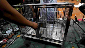 2*3*2.5 2doors heavy duty stainless 304 dog cage