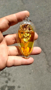 ดอกว่านดอกทอง เมตตามหาเสน่ห์ ค้าขายดีนักแล พร้องกรอบกันน้ำในน้ำมันจันทร์หอม ราคาพิเศษและผลขนาด 500 ตรง