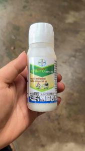 Thuốc trừ Sương mai dưa chuột dưa leo INFINITO 687.5 SC 100ml