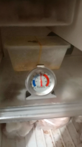 thermometer freezer 1 pcs