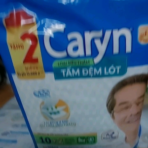 Tầm lót chóng tràn CARYN 10 miếng size 42x72cm