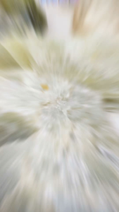 Natural Liaoning Serpentine Jade/天然辽宁岫玉大原石