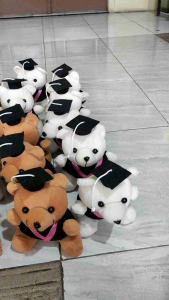 VIRALL Boneka Bear Wisuda & Boneka Buket Hiasan