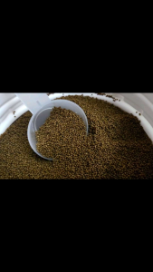 FISH FOOD (0.8-1.0mm) - Suitable for guppy bettas tetras Molly & small ornamental fish