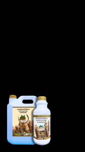 ปุ๋ยมันสำปะหลัง ฮอร์โมนเร่งหัว ระเบิดหัวมัน เร่งหัวโต รากขยาย ป้องกันโรคใบด่างไวรัส ได้น้ำหนัก