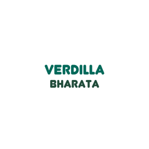 Verdilla Bharata Obat TBC ISPA Asma Paru Paru Basah 100% Herbal Alami Tanpa Efek Samping
