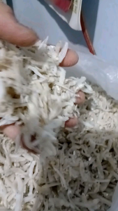IKAN TERI NASI MEDAN Kualitas SUPER. Berat 1 ons/100 gram.