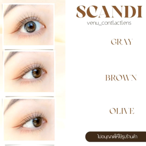คอนแทคเลนส์ Scandi คละยี่ห้อ Gaezz Secret - Gray, Brown, Olive 1000 บรรทัด