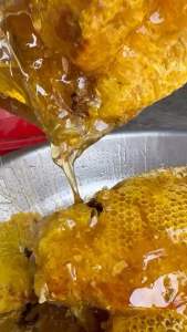 Mật ong khoái rừng Tây Bắc- nguyên chất tự nhiên thơm vị ngọt thanh (chai 1 lít)