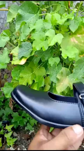 Sepatu Pantofel Wanita: Pilihan Tepat untuk Acara Formal