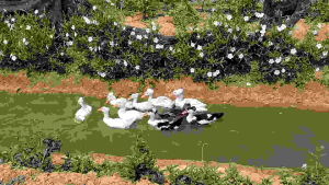 ไข่เชื้อเป็ดหัวจุกฟอง 39 บาท  แฟลชเซลหน้าหนาวเท่านั้น ซื้อ 5 แถมให้ 1  อัตโนมัติ  ไข่สดใหม่ส่งจากฟาร์มวันต่อวัน รับประกันแตก รับประกันเชื้อ