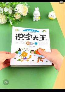 Mandarin Learning Chinese sticker book for kids activities RANDOM 随机识字大王贴纸书