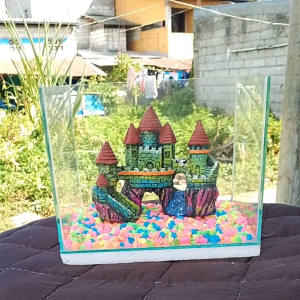 8x6x6 BETTA TANK (LxWxH inches) SMALL AQUARIUM FOR BETTA FISH AND OTHER SMALL FISHES(3mm glass thickness)