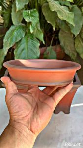 Chậu mini trồng sen đá xương rồng cây mini 7 chậu