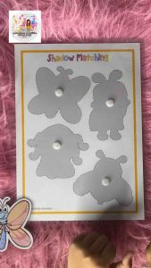 animal shadow matching