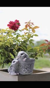 กระถางปลูกต้นไม้น้องกระต่าย