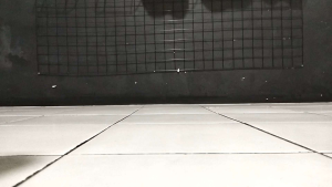 Sepatu Metarise 2 Paris - Sepatu Olahraga Volly - Sepatu Voli Metaris Super Premium