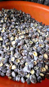 500g Hạt Sen Rang Muối | Hạt Sen Rang Ăn Liền